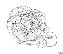 салат Раскраски Для Печати